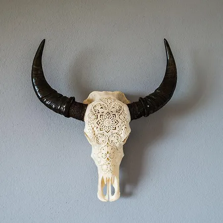 Amazing House With A View